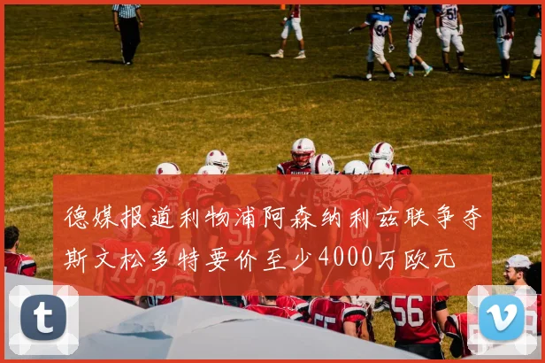 德媒报道利物浦阿森纳利兹联争夺斯文松多特要价至少4000万欧元