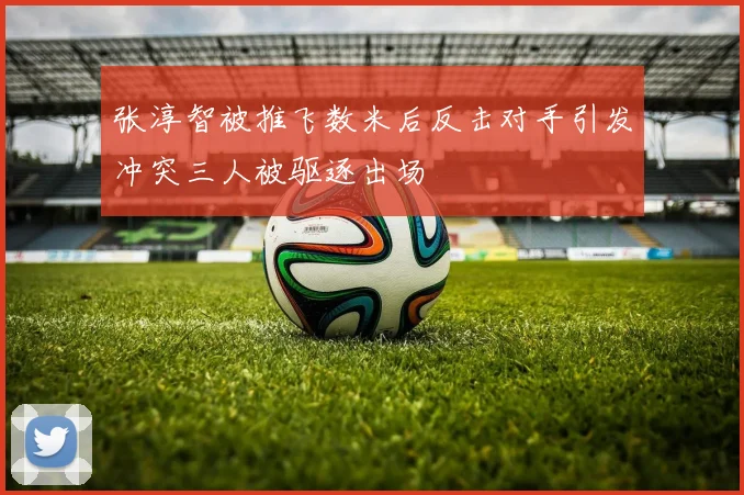 张淳智被推飞数米后反击对手引发冲突三人被驱逐出场